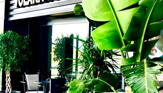 Volaka Coffee Hoşgeldiniz